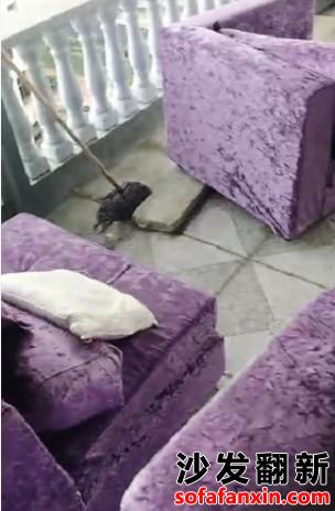 采購漢中賓館沙發翻新