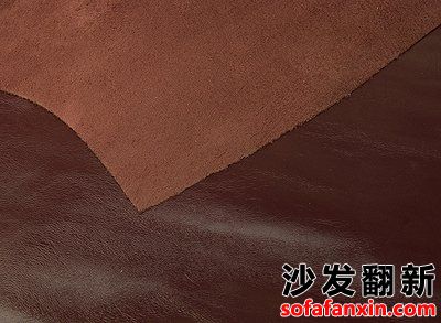 真皮沙發(fā)上的傷疤是什么？讓你不得不了解的冷知識！