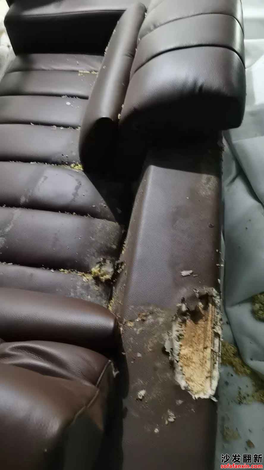 采購臥龍區沙發修復或換皮