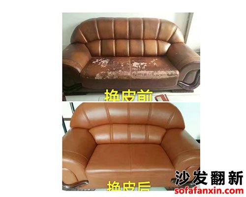 長沙芙蓉區沙發翻新換皮廠教您如何清除和治愈藏在沙發里的蟑螂?