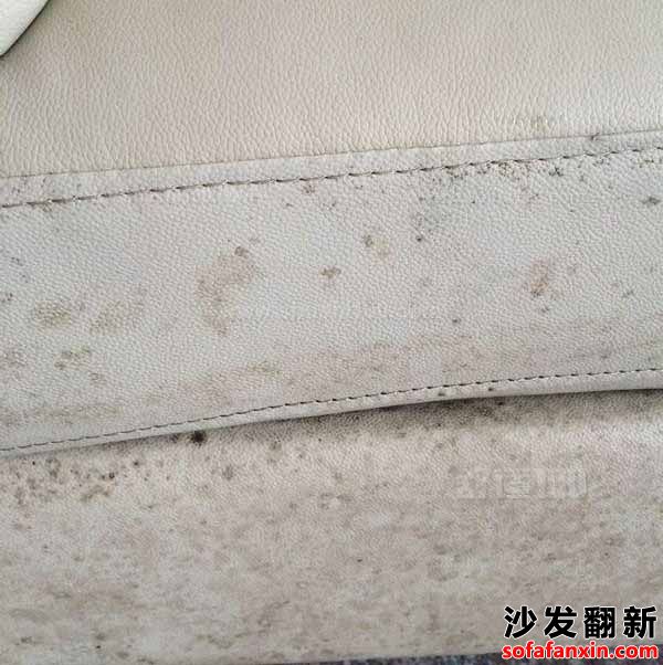 沙發(fā)發(fā)霉處理